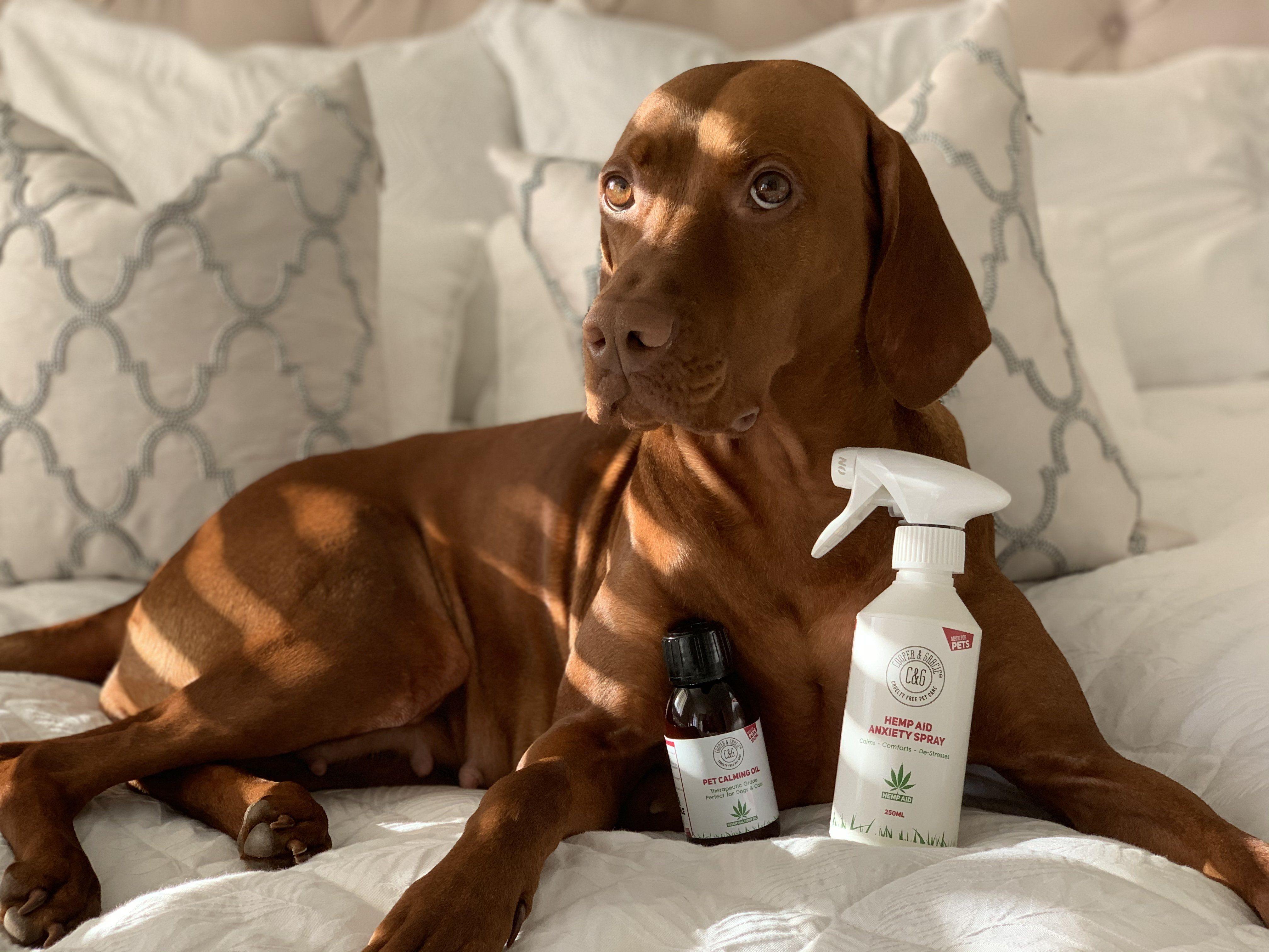 Hemp Seed Oil for Dogs and Cats | 12 Ways It WORKS | Cooper & Gracie - Cooper & Gracie™ Limited