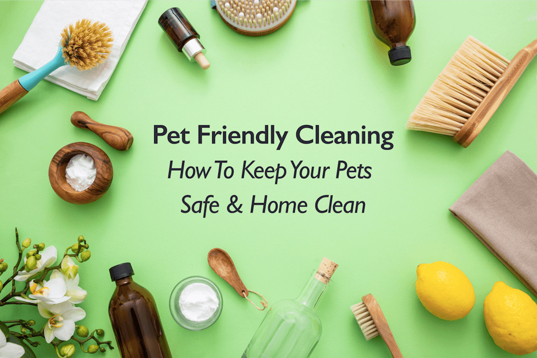 Pet-Friendly Cleaning: How to Keep Your Pets Safe and Your Home Clean - Cooper & Gracie™ Limited