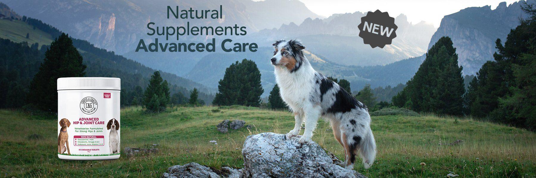 All Natural Dog Supplements - Cooper & Gracie™ Limited