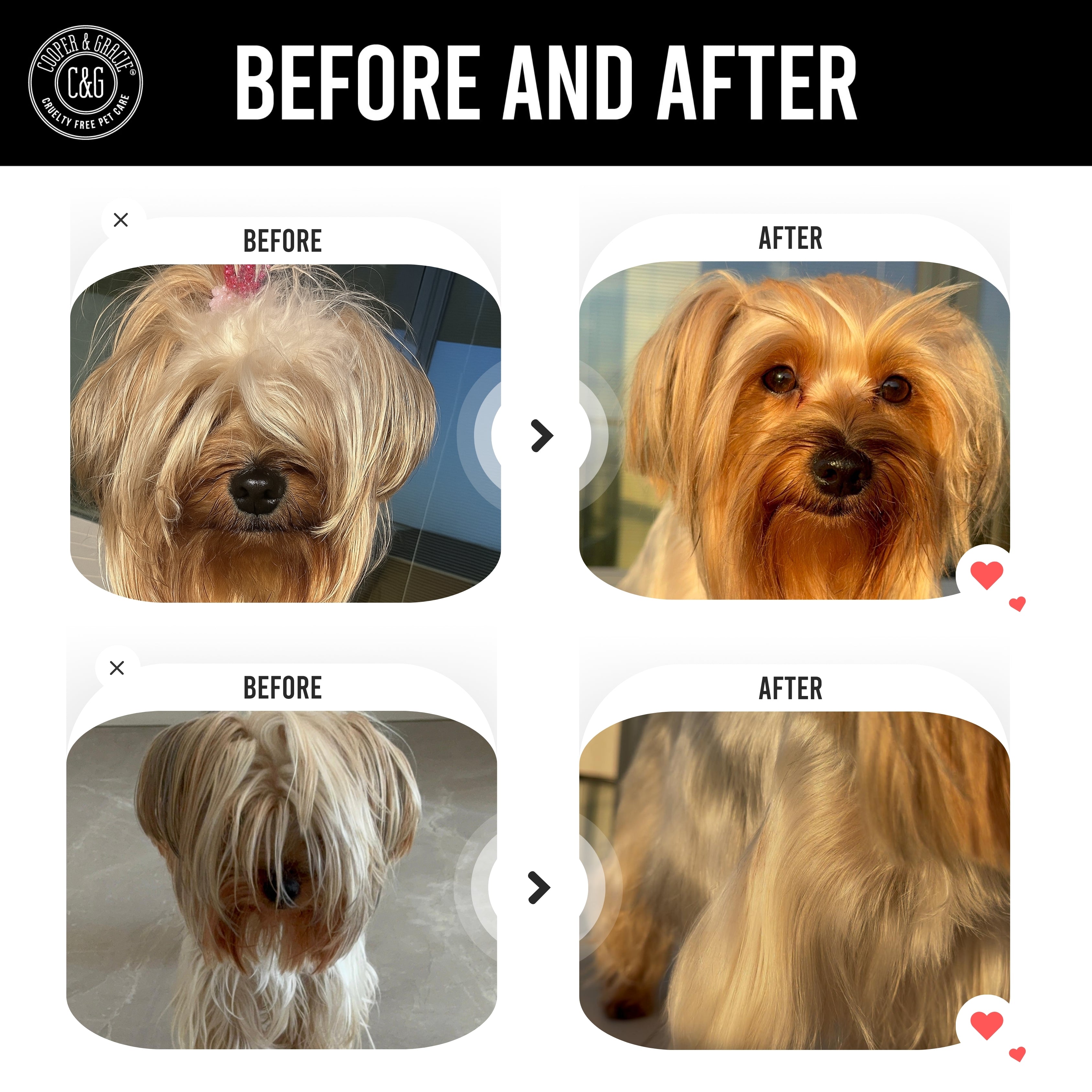 Dead Sea Anti-Bacterial & Anti-Fungal Dog Spray – 250ml – Soothes Itchy Skin Naturally