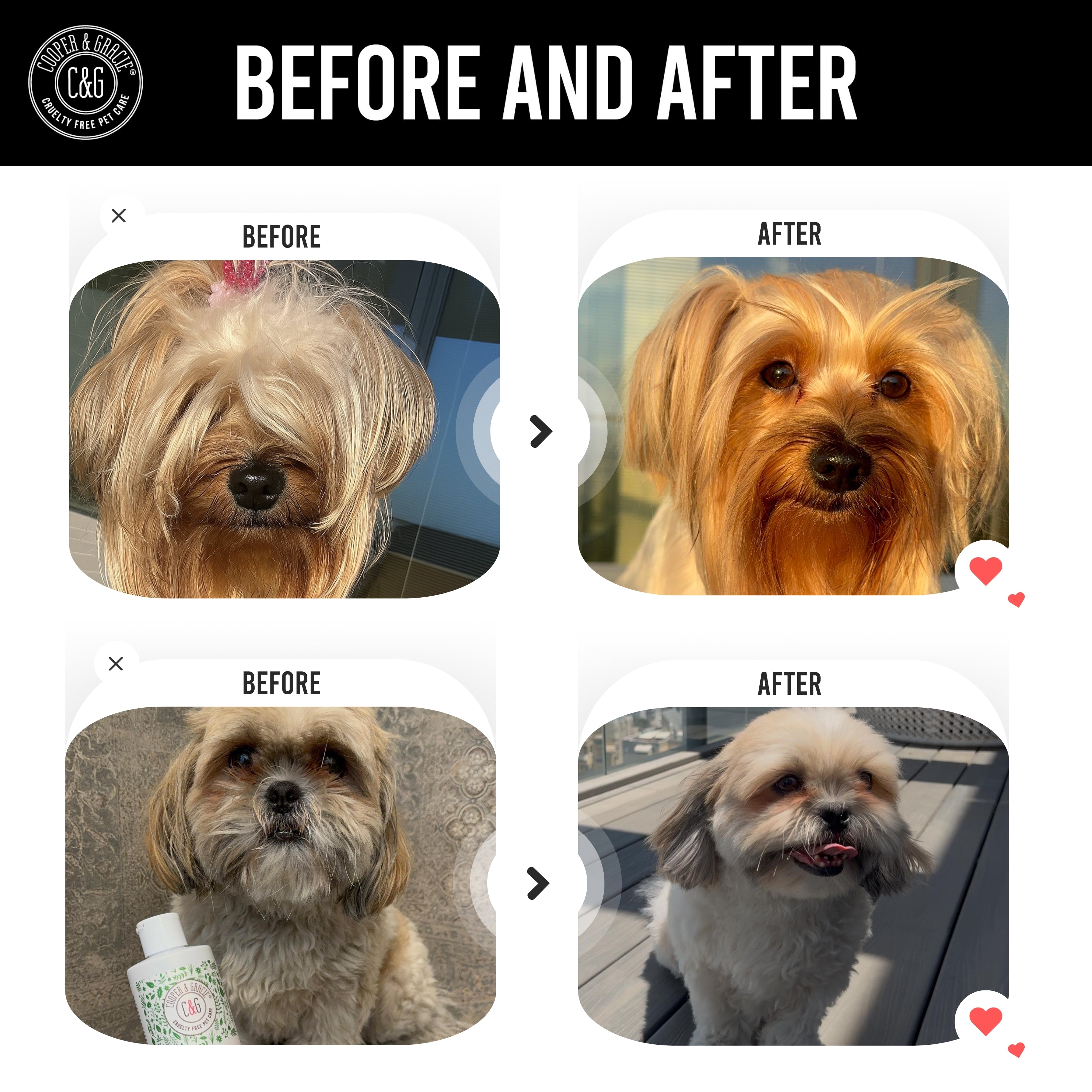 Dead Sea Anti-Bacterial & Anti-Fungal Dog Spray – 250ml – Soothes Itchy Skin Naturally