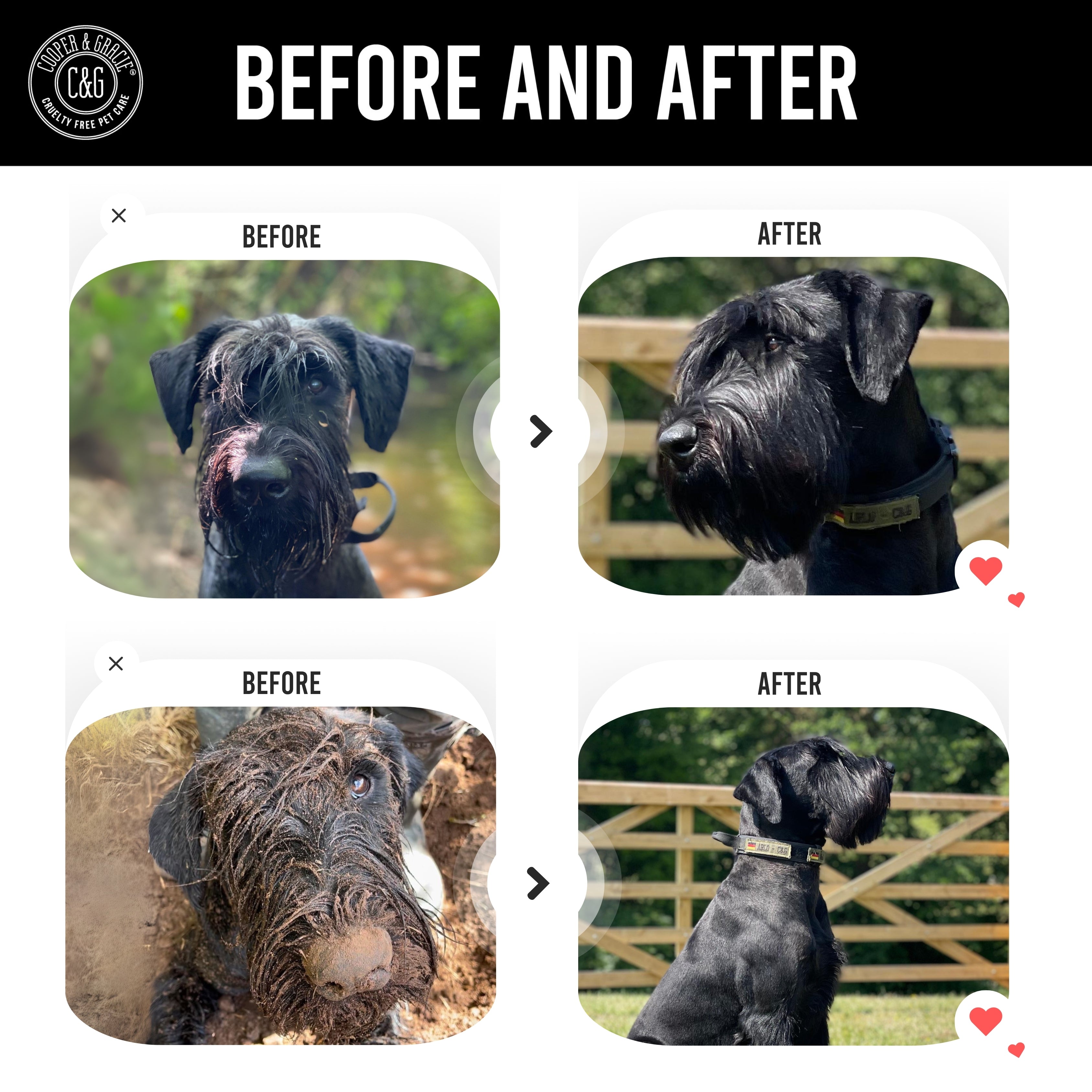 Dead Sea Anti-Bacterial & Anti-Fungal Dog Spray – 250ml – Soothes Itchy Skin Naturally