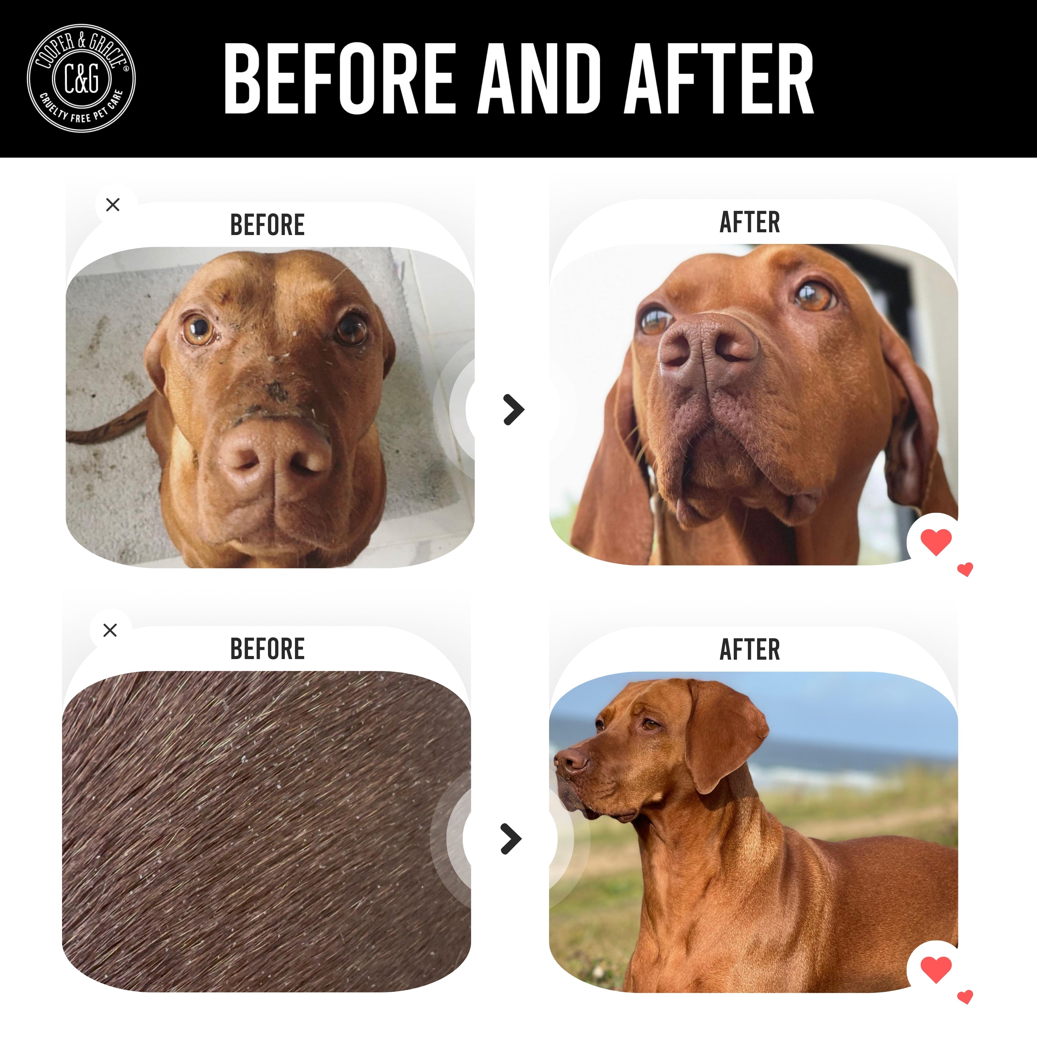 Dead Sea Anti-Bacterial & Anti-Fungal Dog Spray – 250ml – Soothes Itchy Skin Naturally