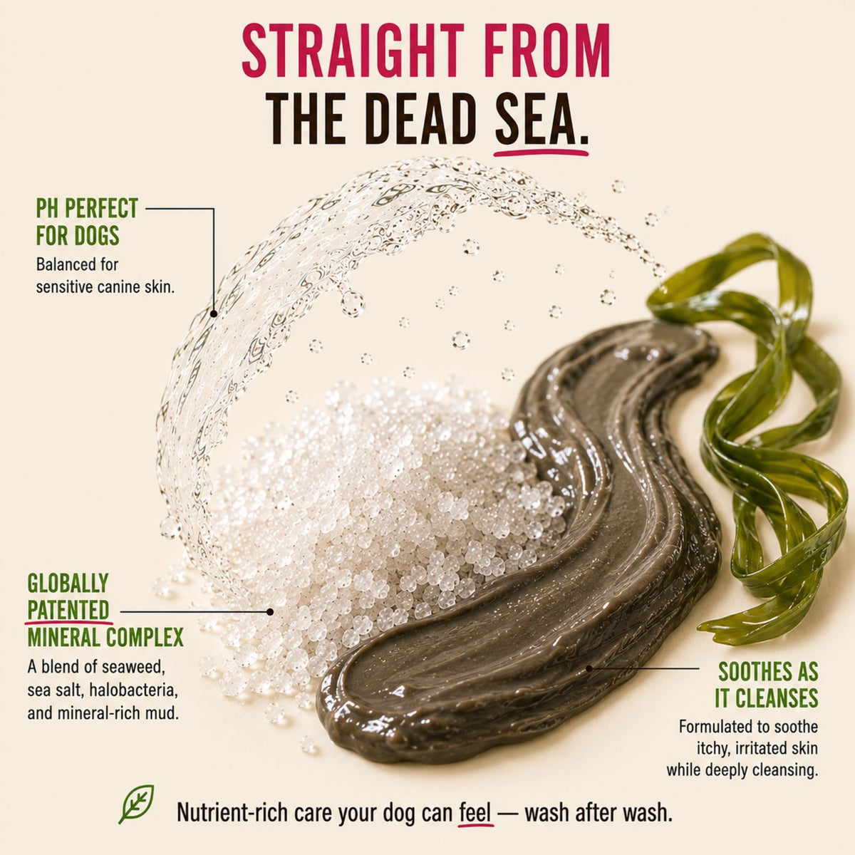 Dead Sea Mineral Dog Shampoo – 300ml
