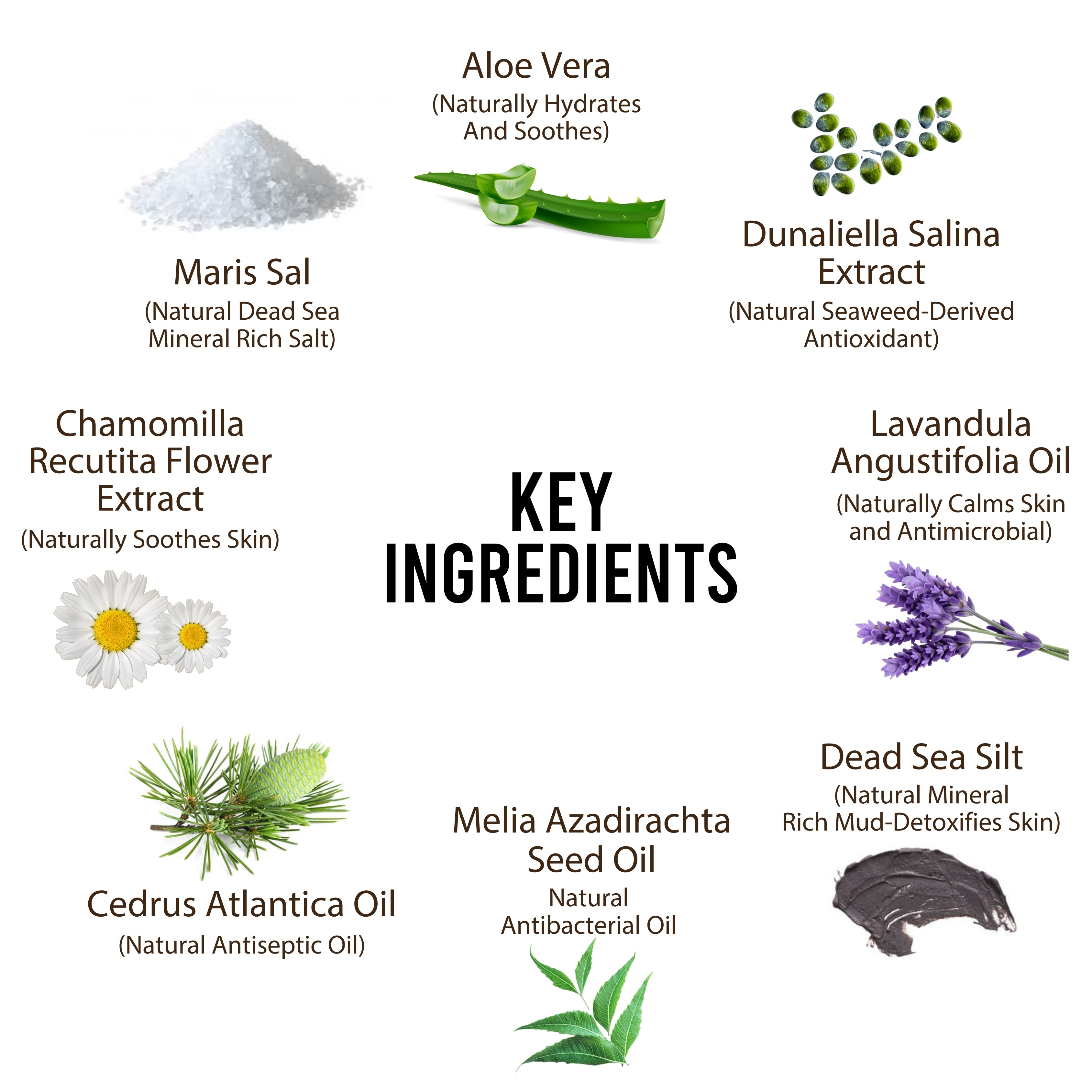 Dead Sea Itchy Dog Flea & Tick Shampoo – 300ml | Insecticide-Free, Vet-Developed Relief