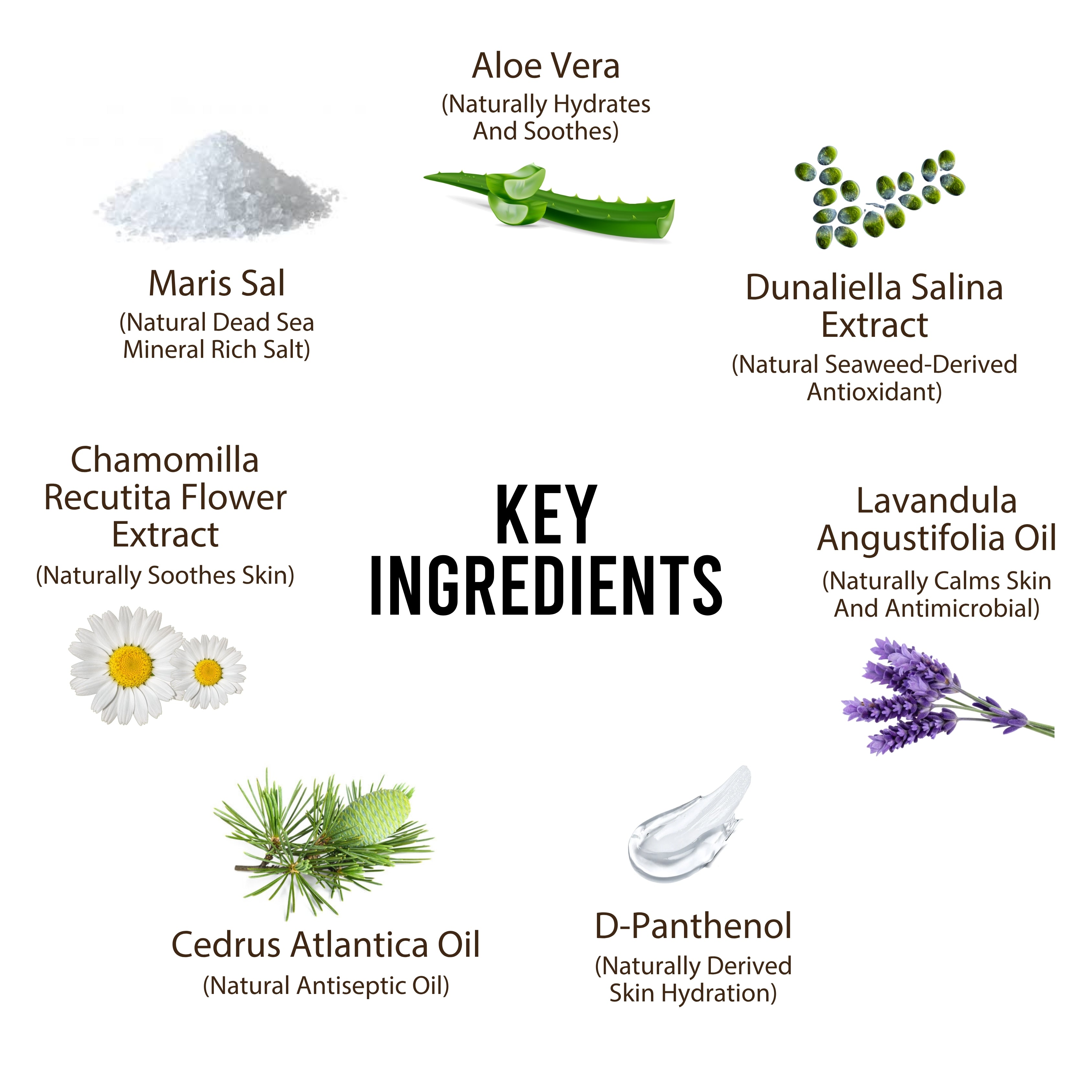 Flea & Tick Dog Spray – Dead Sea Formula – 250ml