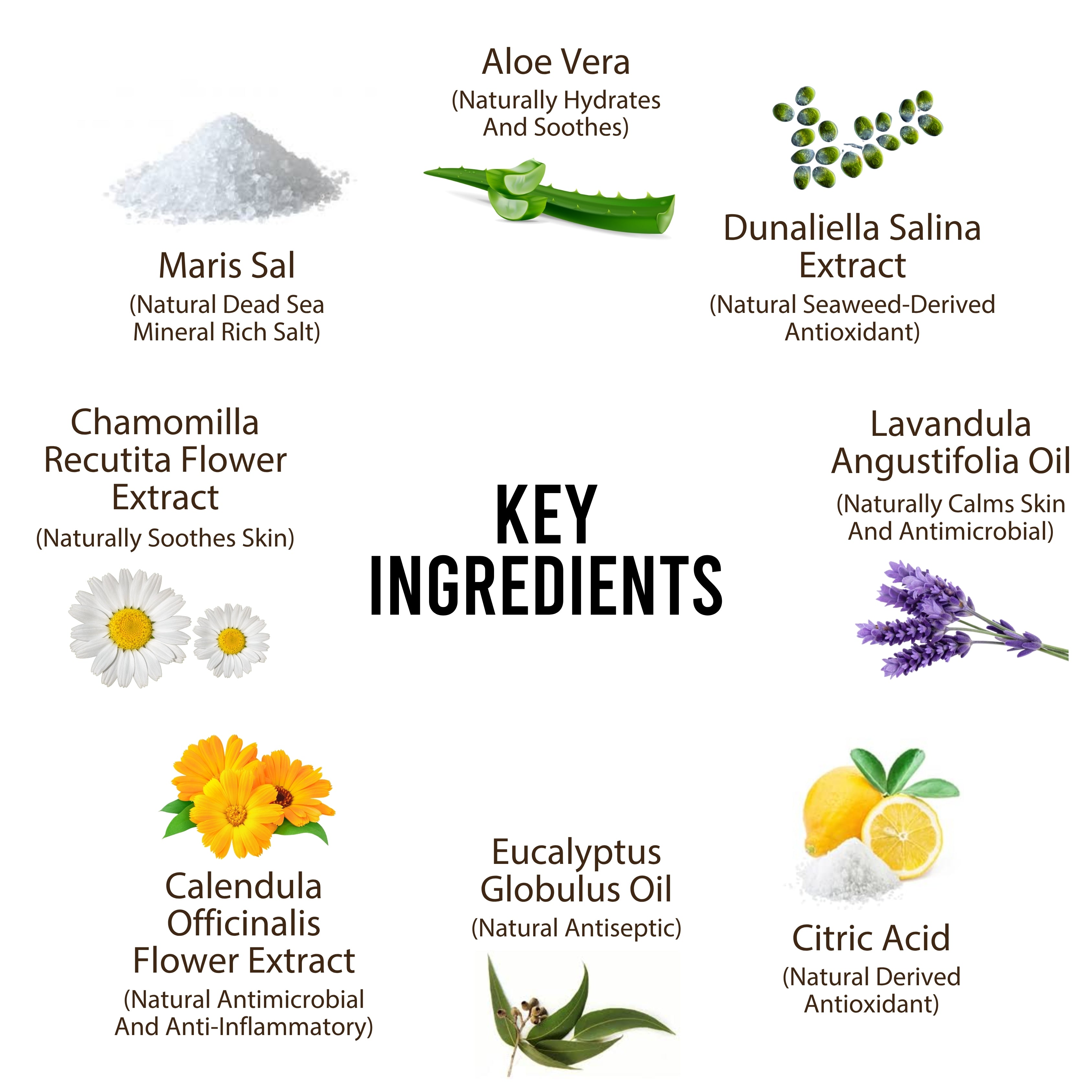 Dead Sea Anti-Bacterial & Anti-Fungal Dog Spray – 250ml – Soothes Itchy Skin Naturally