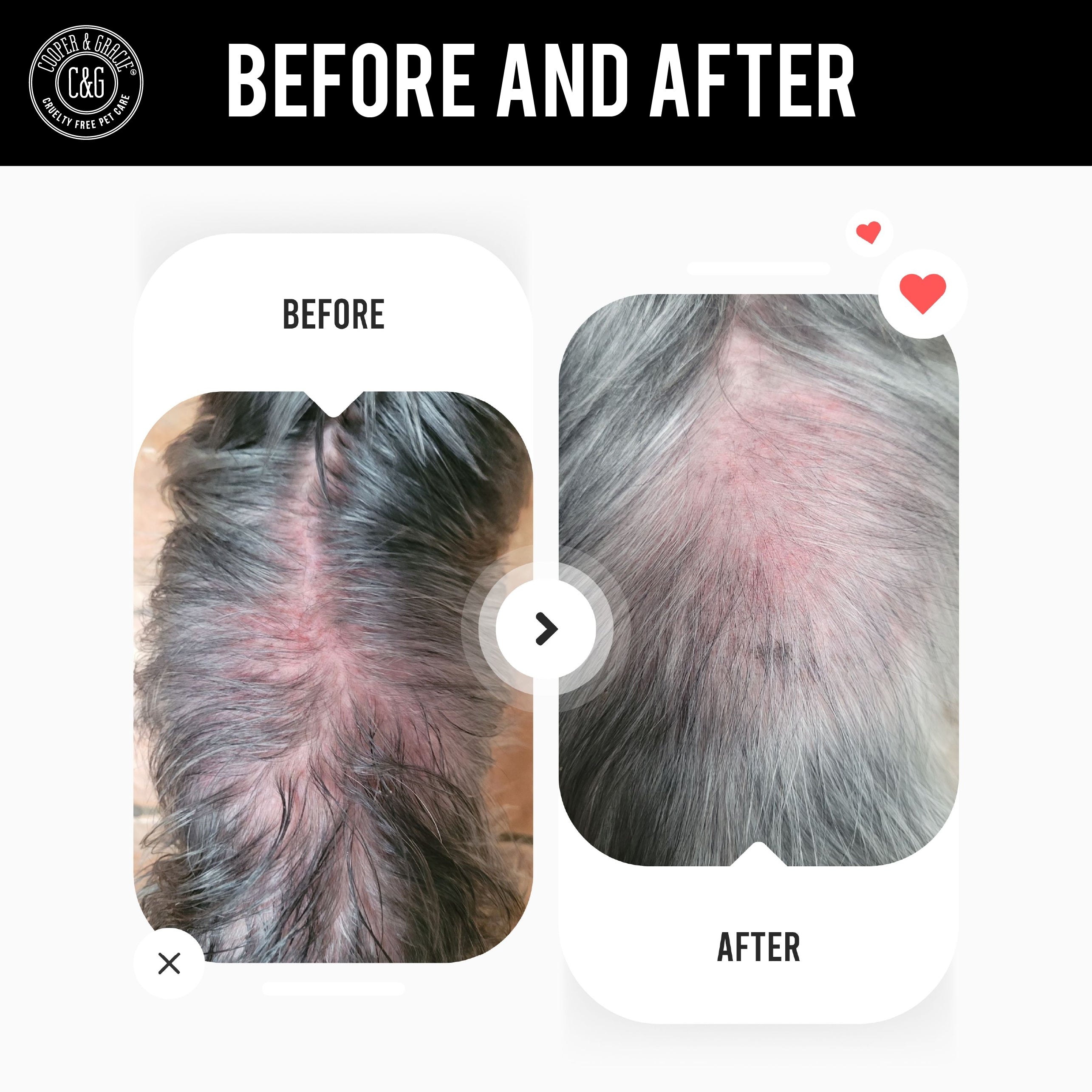 Dead Sea Anti-Bacterial & Anti-Fungal Dog Spray – 250ml – Soothes Itchy Skin Naturally