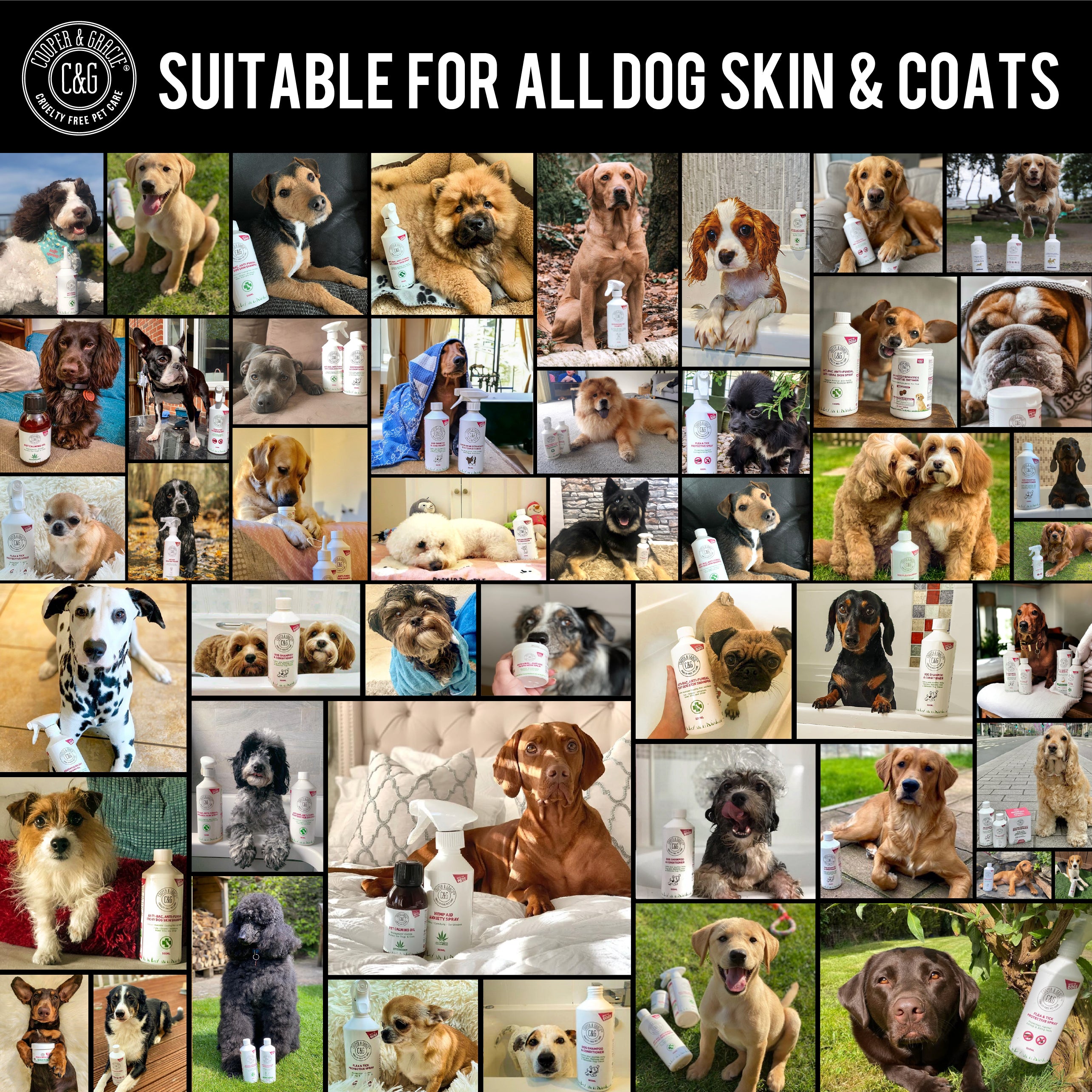 Dead Sea Itchy Dog Flea & Tick Shampoo – 300ml | Insecticide-Free, Vet-Developed Relief