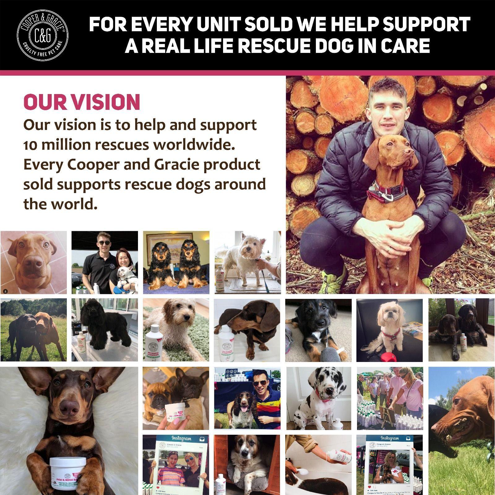 Anti-Bacterial Cream for Dogs for Itchy Skin – with SPF 50 Sun Cream - Cooper & Gracie™ Limited