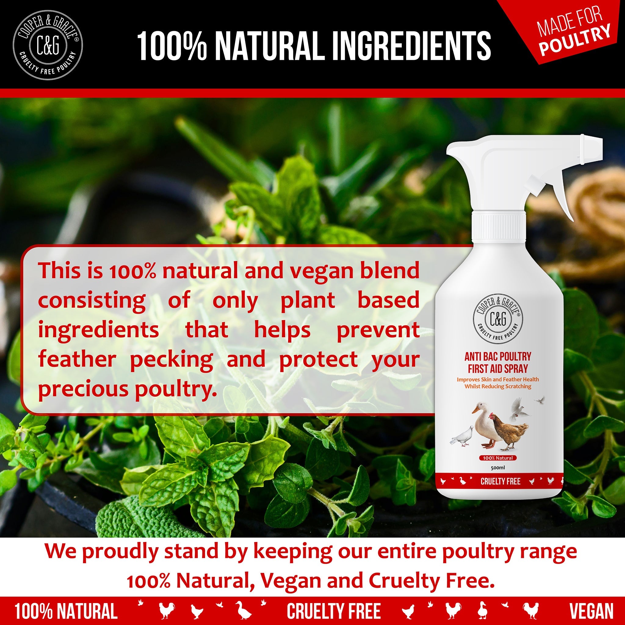 Anti-Feather Pecking Spray - Cooper & Gracie™ Limited
