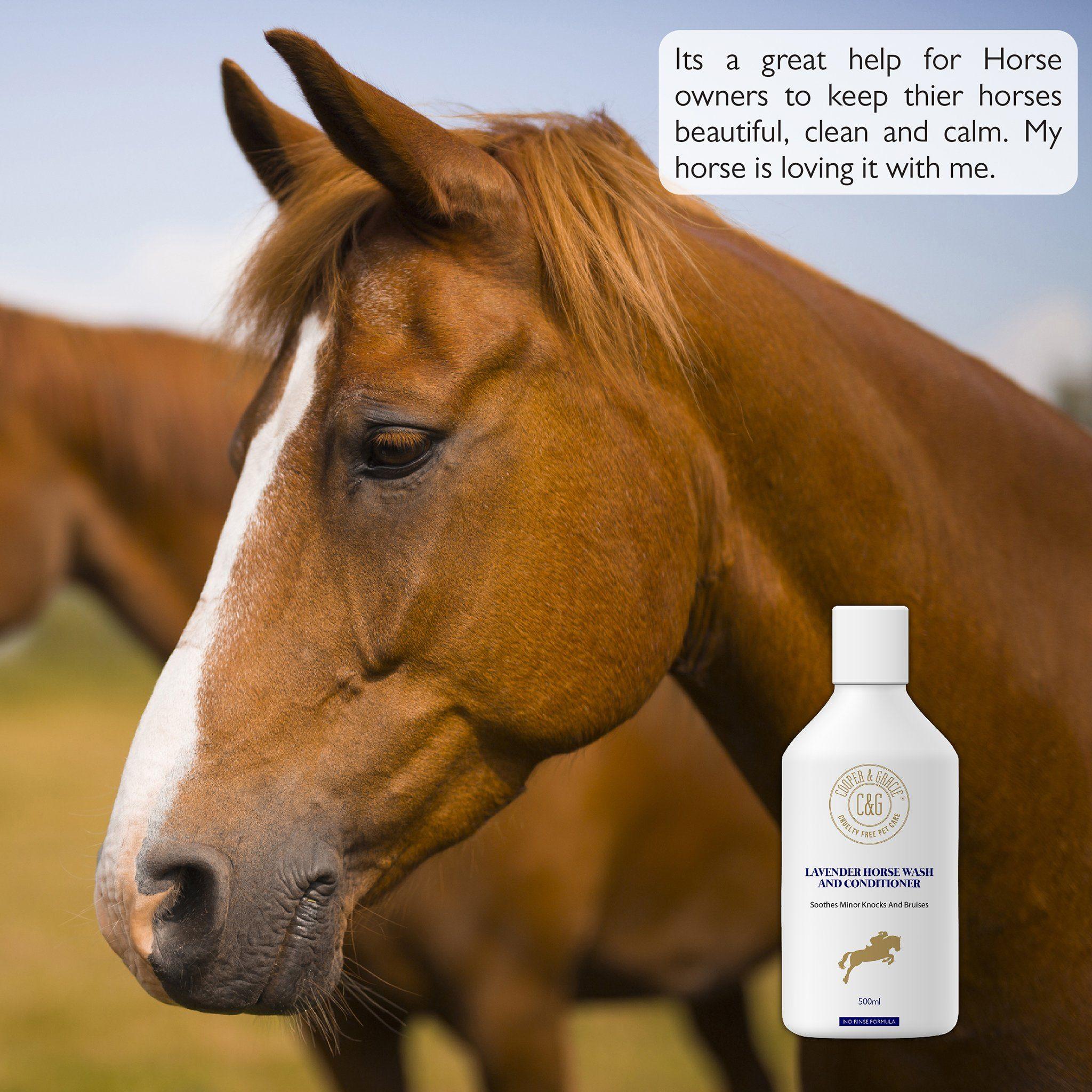 Antibacterial Horse Wash and Conditioner with Lavender - Cooper & Gracie™ Limited