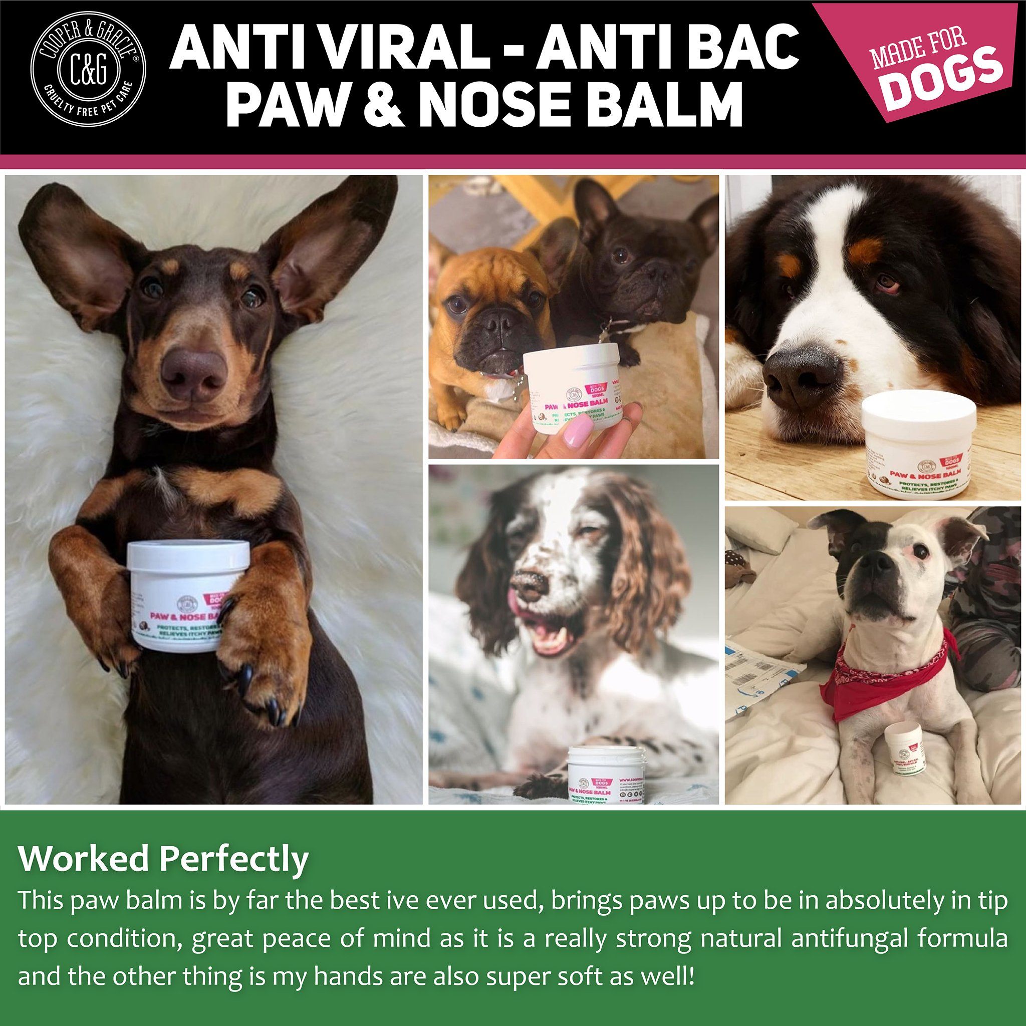 Dog Paw and Nose Balm - Cooper & Gracie™ Limited