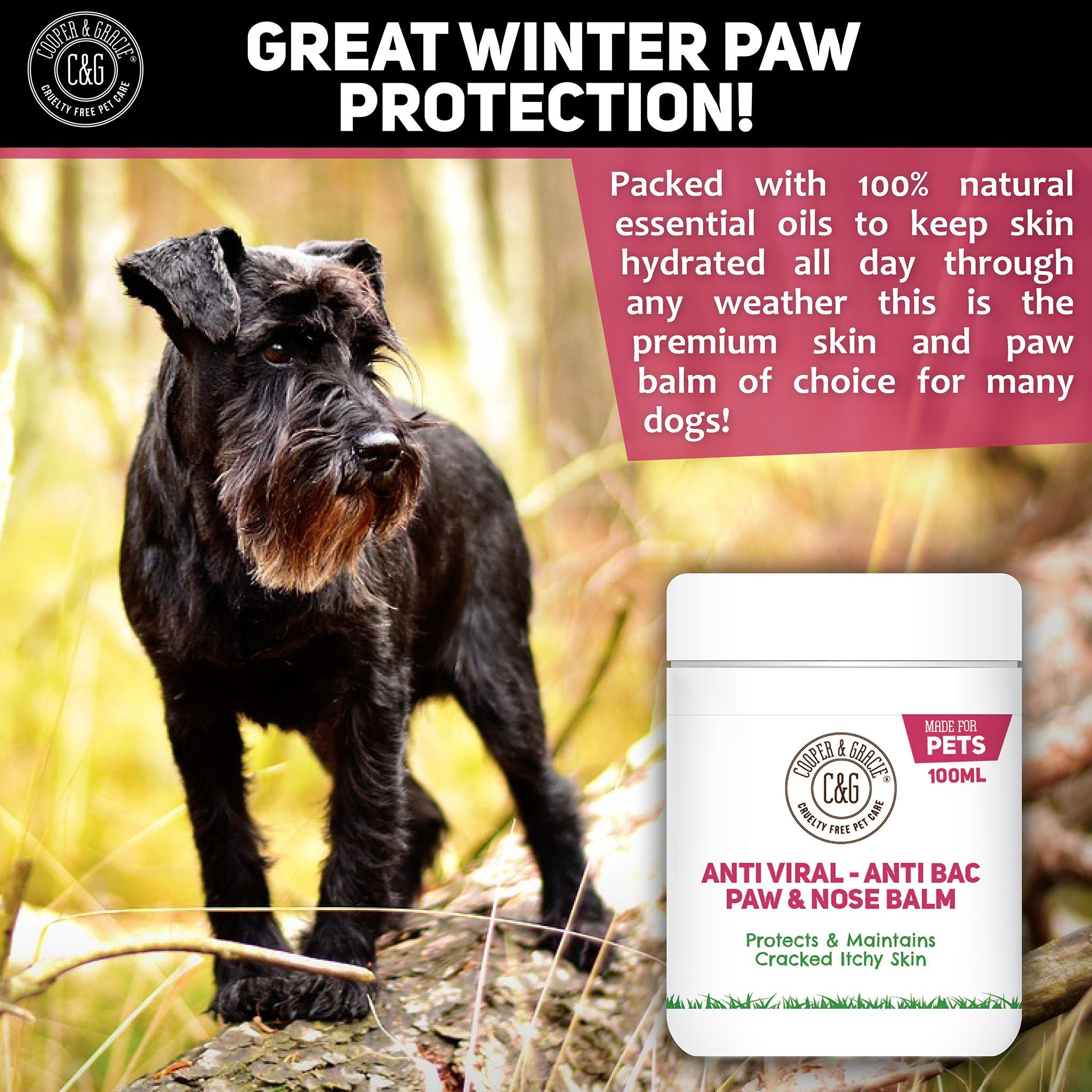 Dog Paw and Nose Balm - Cooper & Gracie™ Limited