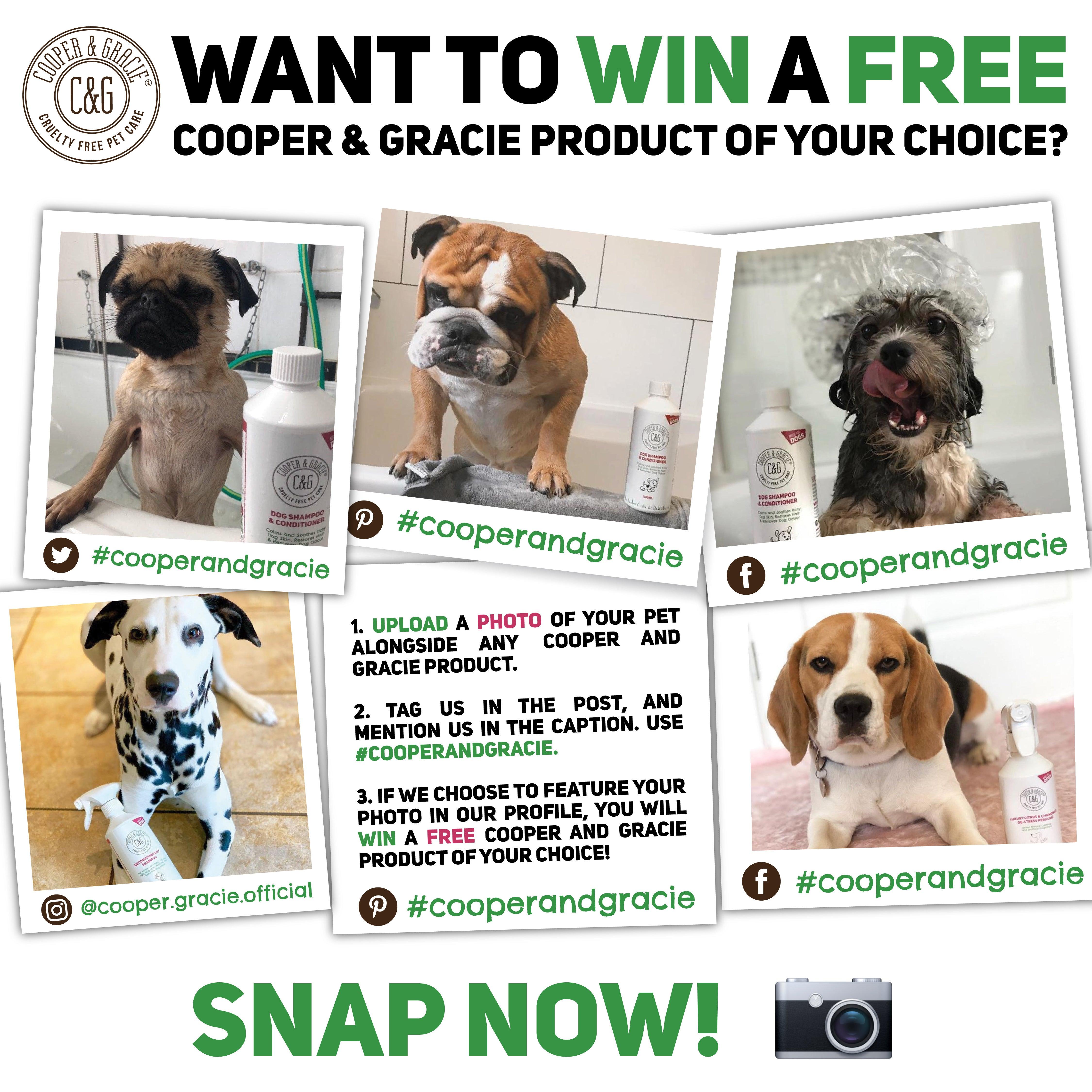 Dog Shampoo and Conditioner - Cooper & Gracie™ Limited