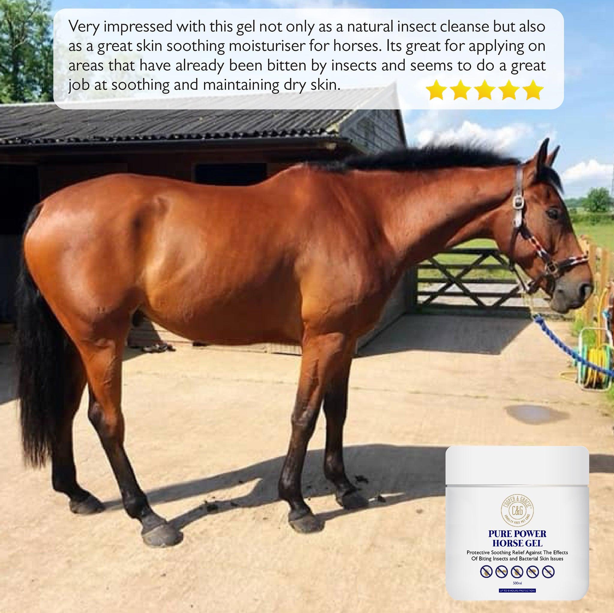 Fly Gel for Horses - Cooper & Gracie™ Limited