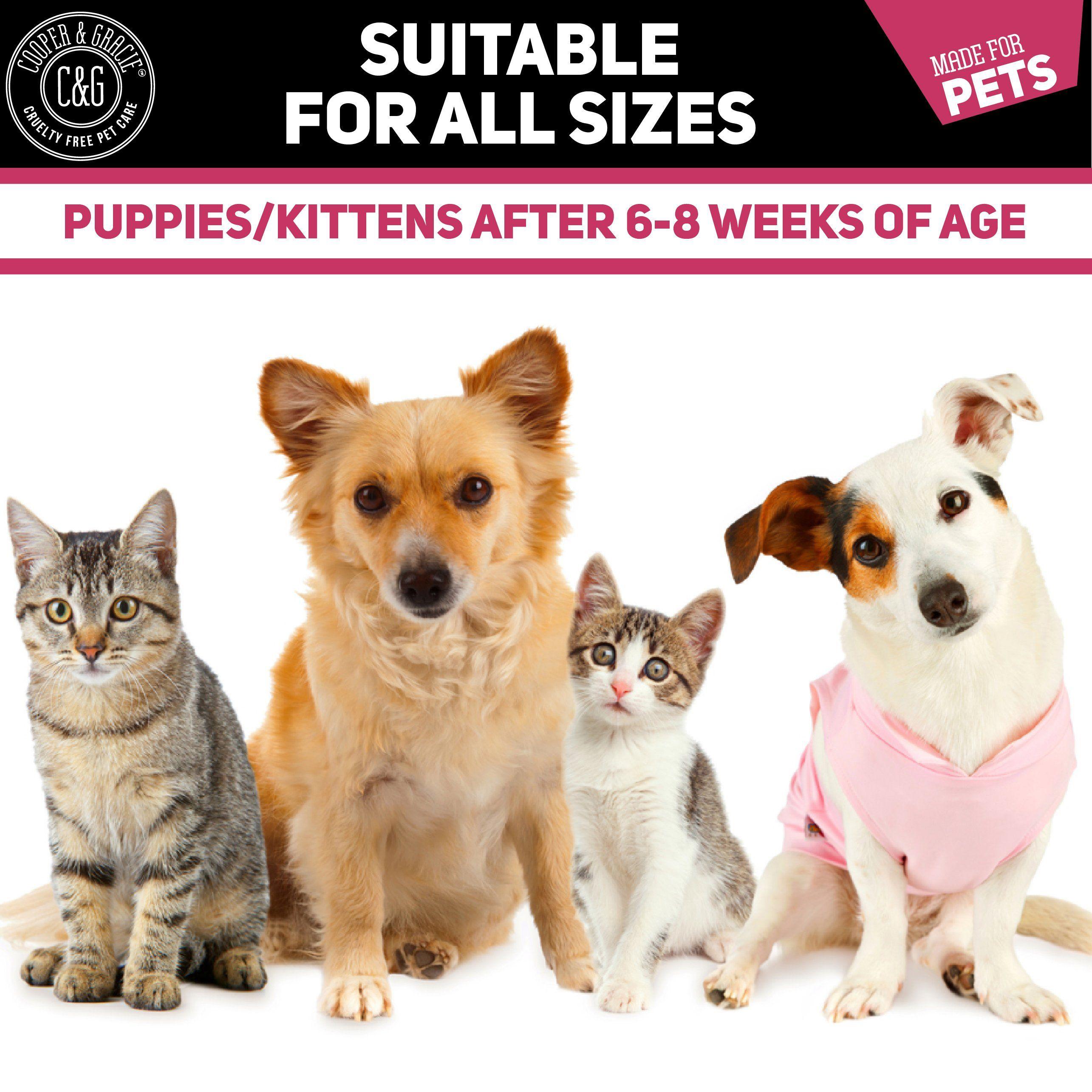 Hemp Calming Oil for Dogs and Cats - Cooper & Gracie™ Limited