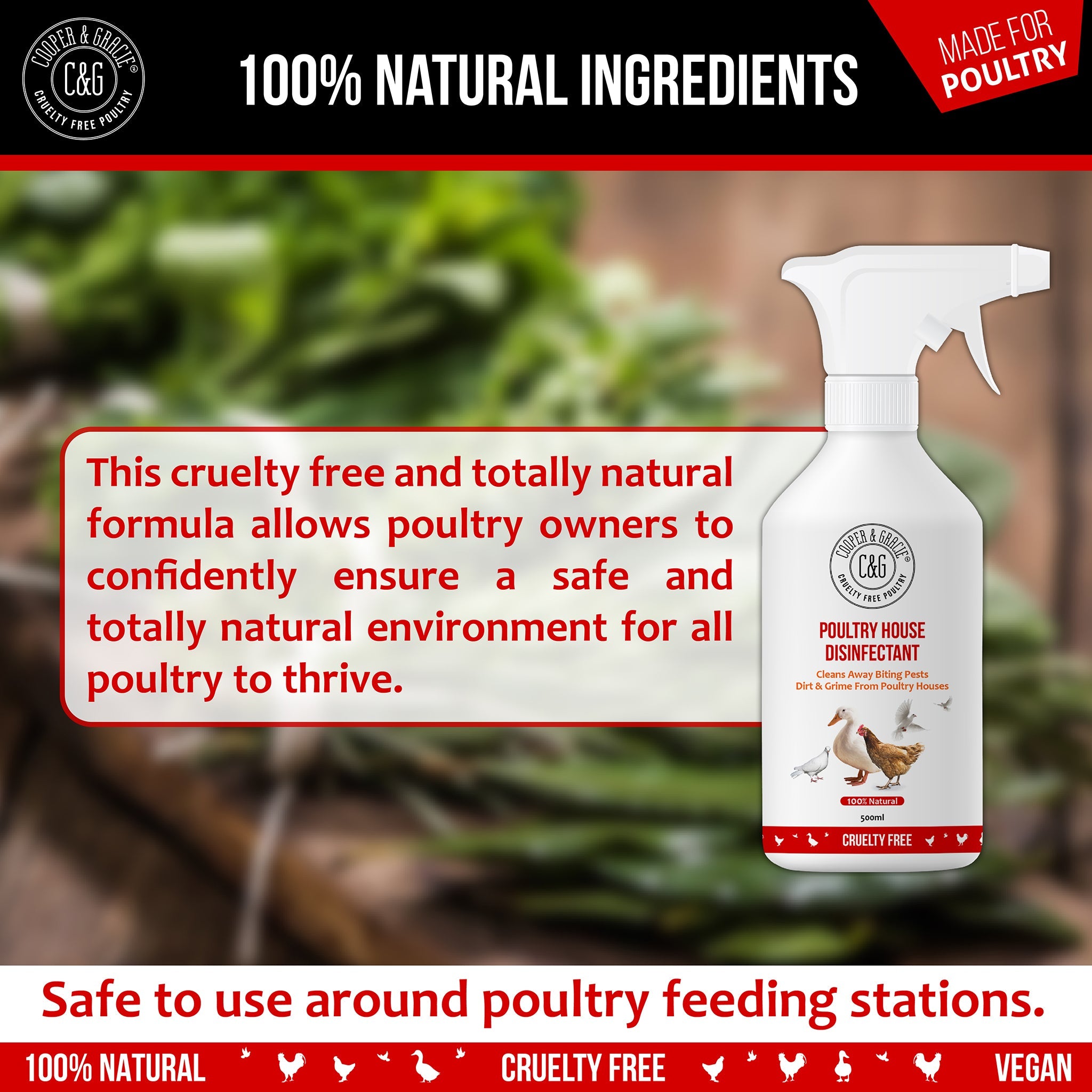 Poultry House Disinfectant Spray - Cooper & Gracie™ Limited