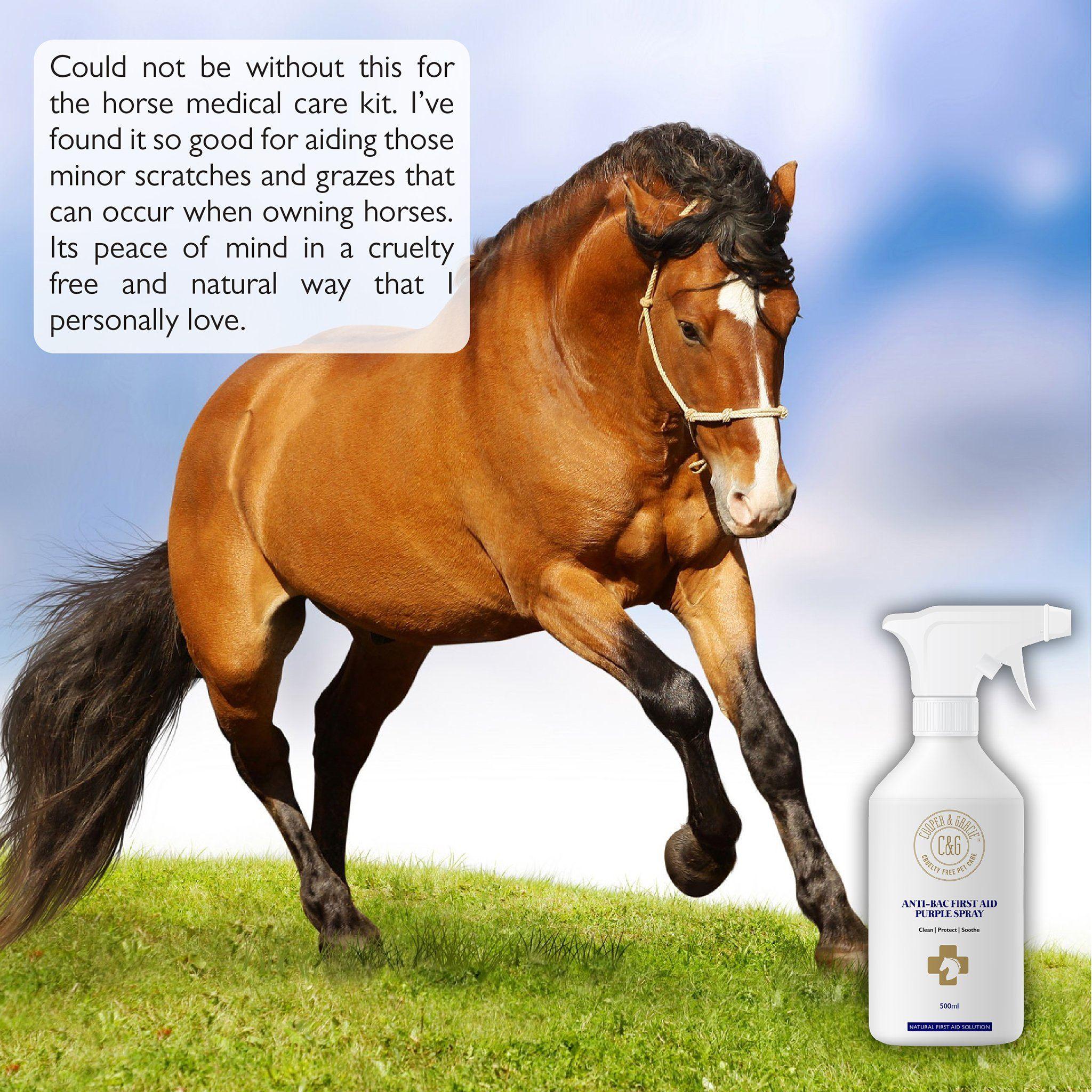 Purple Spray for Horses - Cooper & Gracie™ Limited