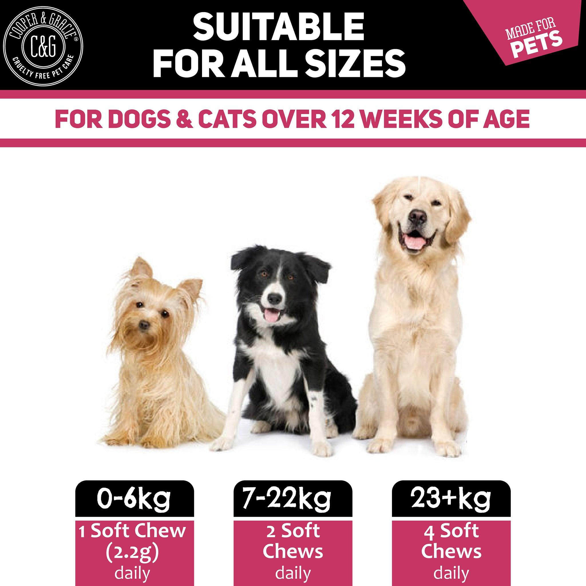 Tear Stain Supplement 65 Soft Chews - Cooper & Gracie™ Limited