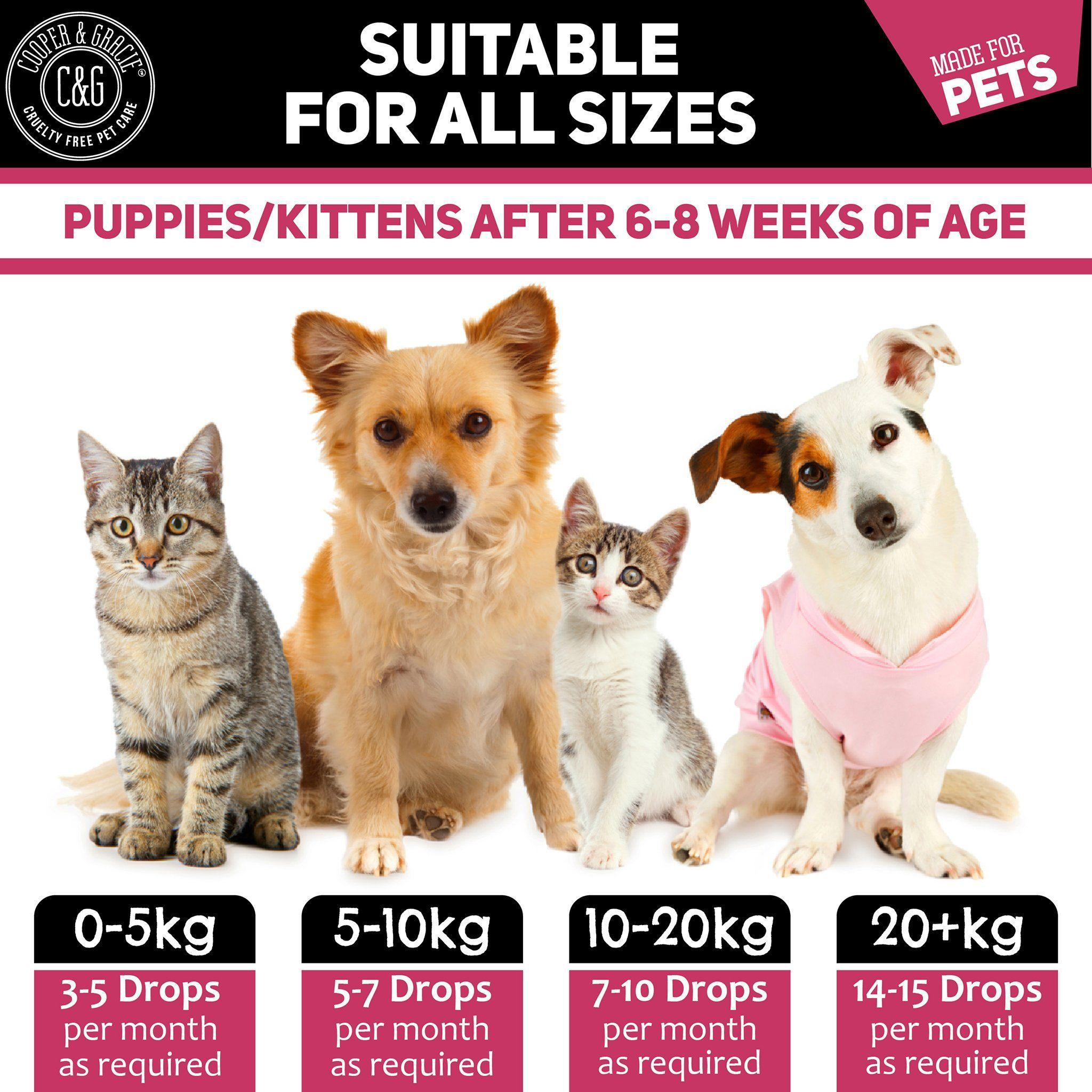 Wormwood for Dogs and Cats for Intestinal Health - Cooper & Gracie™ Limited