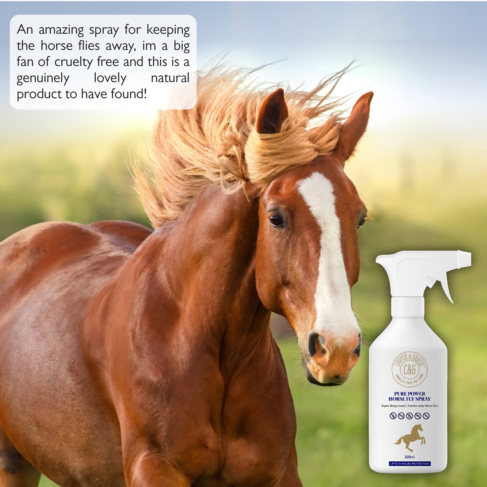 Horse Fly Spray