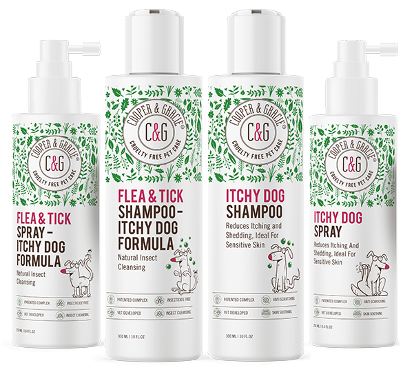 Cooper & Gracie Dead Sea Collection product lineup on neutral background