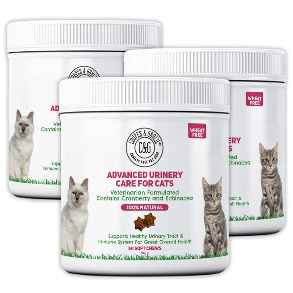 Natural Cat Urinary Health Supplements | Cooper and Gracie